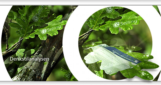 CoSelling - Neues Serviceangebot: Terminvereinbarungen fr kleinere Unternehmen