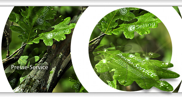 CoSelling - Neues Serviceangebot: Professionelle Pressearbeit fr kleinere Unternehmen