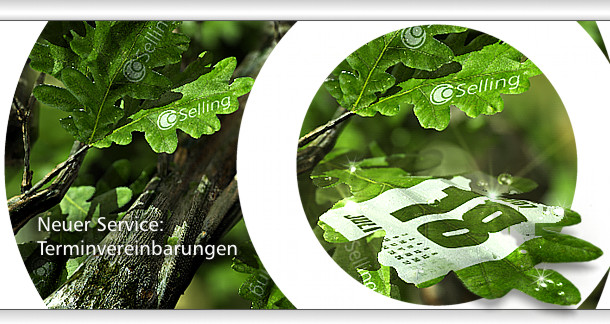 CoSelling - Neues Serviceangebot: Terminvereinbarungen fr kleinere Unternehmen