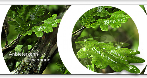 CoSelling - Impressum . Anbieterkennzeichnung