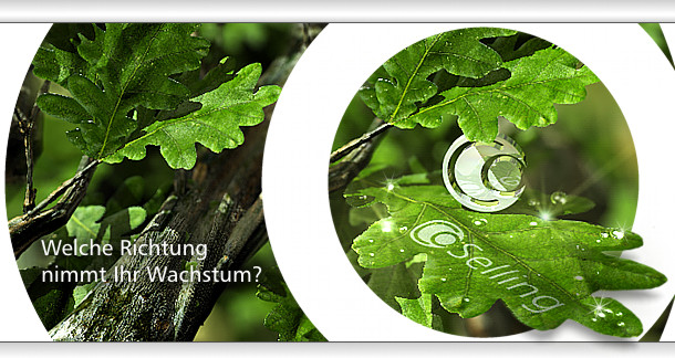 CoSelling - Gesellschaft fr Konzeption und Umsetzung von Wachstumsstrategien